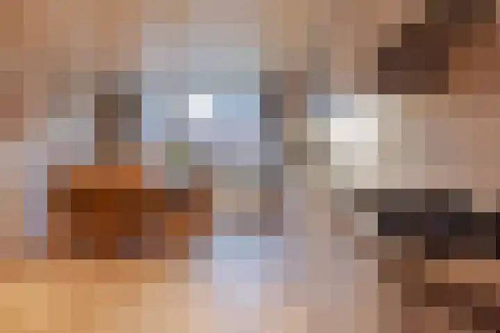 Dillingstraat 8 Ysselsteyn thumbnail 15