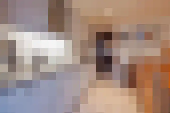 Dillingstraat 8 Ysselsteyn thumbnail 16