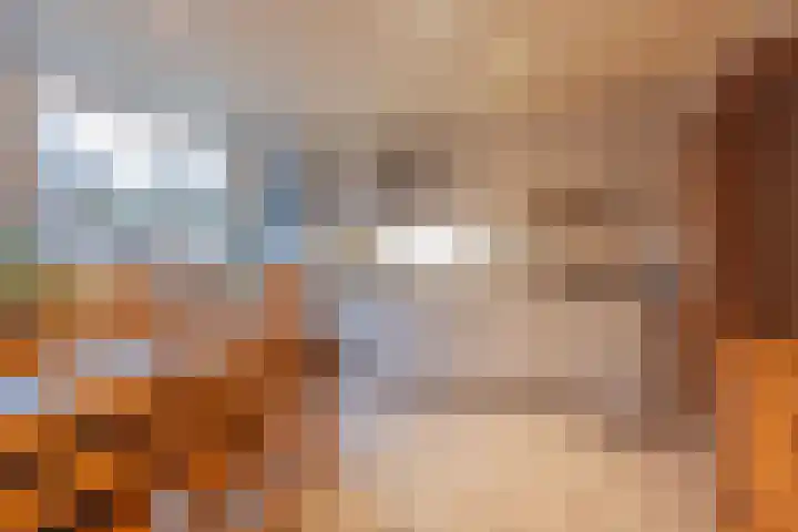 Dillingstraat 8 Ysselsteyn thumbnail 5