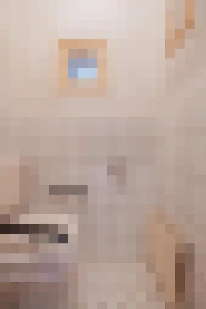 Dillingstraat 8 Ysselsteyn thumbnail 9