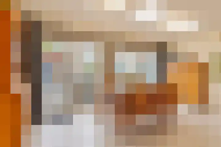 Dilmanshof 31 Someren thumbnail 10