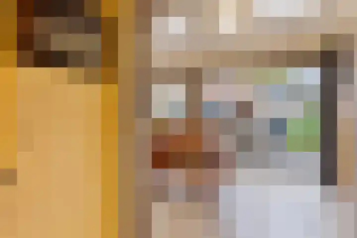 Dilmanshof 31 Someren thumbnail 13