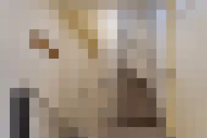 Dilmanshof 31 Someren thumbnail 16