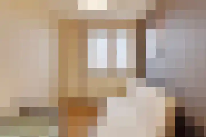 Dilmanshof 31 Someren thumbnail 18