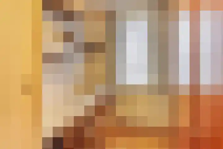 Dilmanshof 31 Someren thumbnail 19