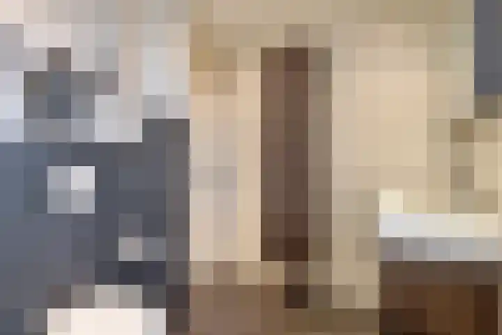 Dilmanshof 31 Someren thumbnail 23