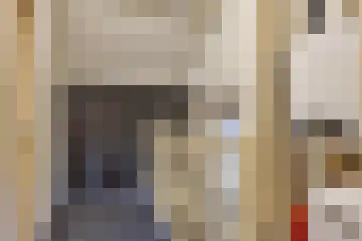 Dilmanshof 31 Someren thumbnail 25