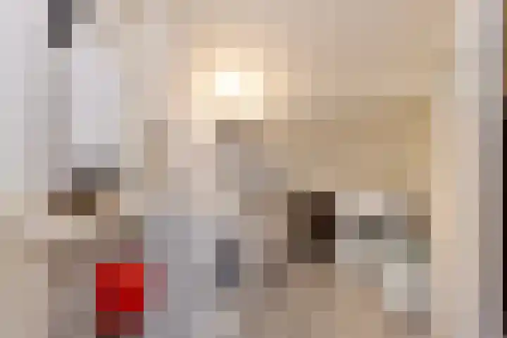 Dilmanshof 31 Someren thumbnail 26