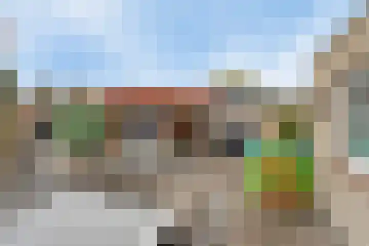 Dilmanshof 31 Someren thumbnail 29