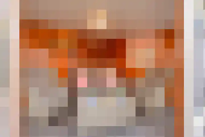 Dilmanshof 31 Someren thumbnail 30