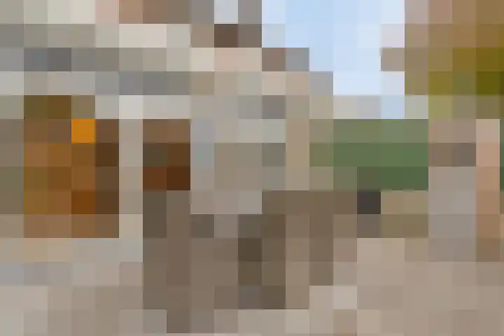 Dilmanshof 31 Someren thumbnail 34