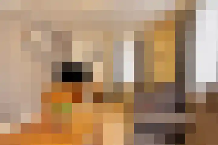 Dilmanshof 31 Someren thumbnail 6