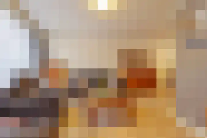 Dilmanshof 31 Someren thumbnail 7