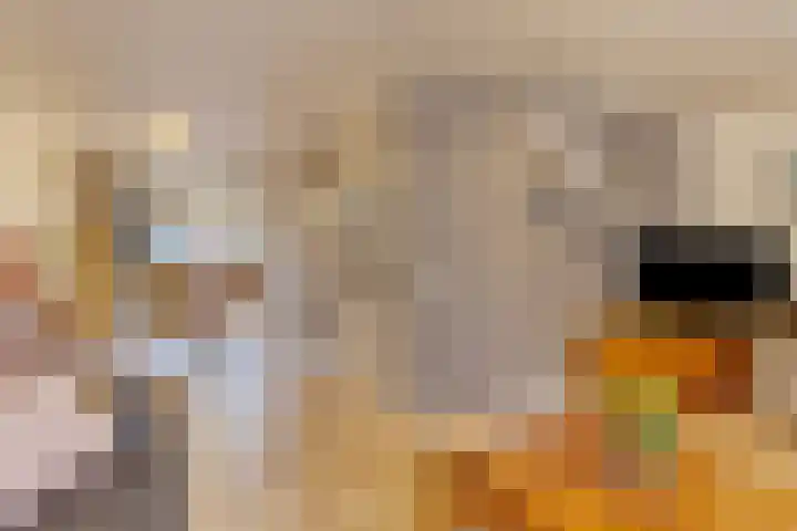 Dilmanshof 31 Someren thumbnail 8