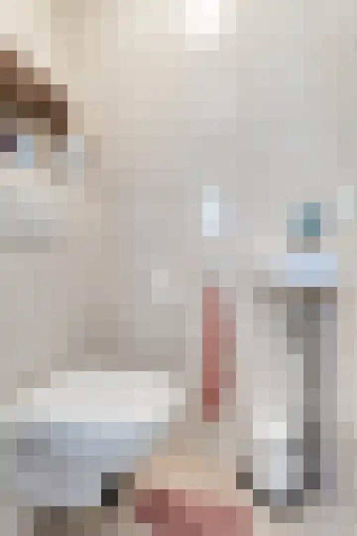 Dilsenstraat 18 Amsterdam thumbnail 10