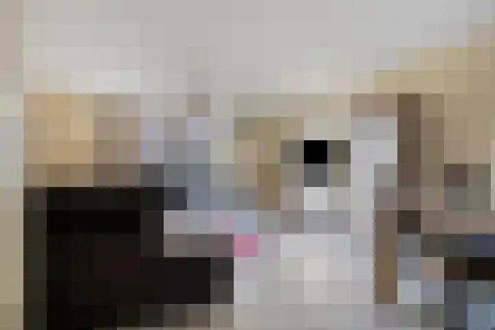 Dilsenstraat 18 Amsterdam thumbnail 7