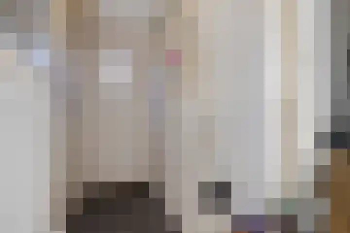 Dilsenstraat 18 Amsterdam thumbnail 8