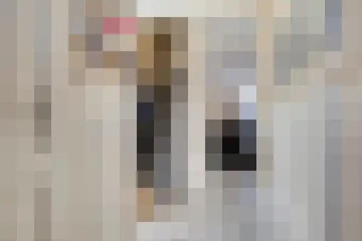 Dilsenstraat 18 Amsterdam thumbnail 9