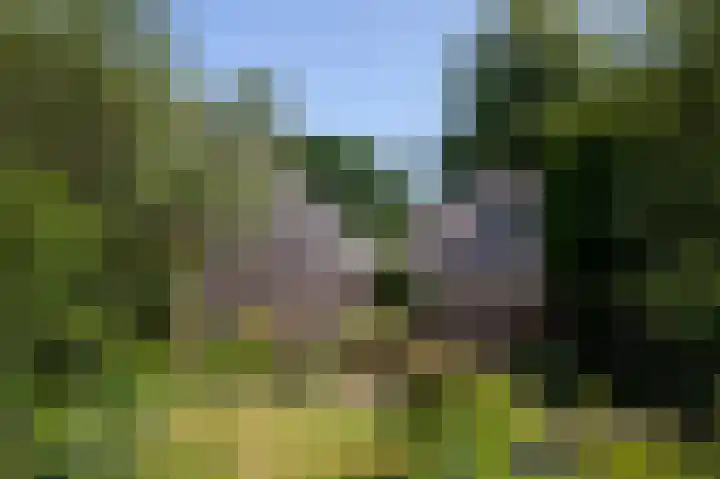 Dilweg 17 Odoorn thumbnail 37