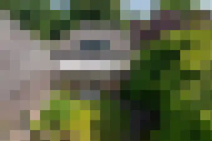 Dilweg 17 Odoorn thumbnail 38