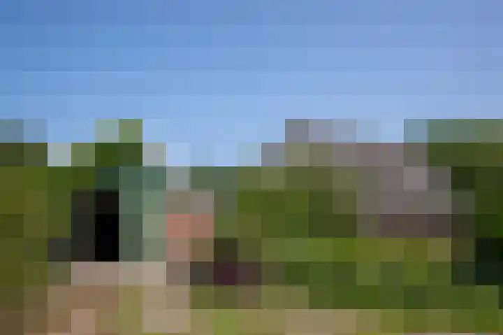 Dilweg 17 Odoorn thumbnail 39