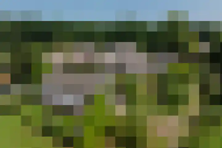 Dilweg 17 Odoorn thumbnail 41