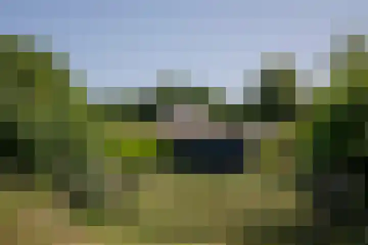 Dilweg 17 Odoorn thumbnail 44