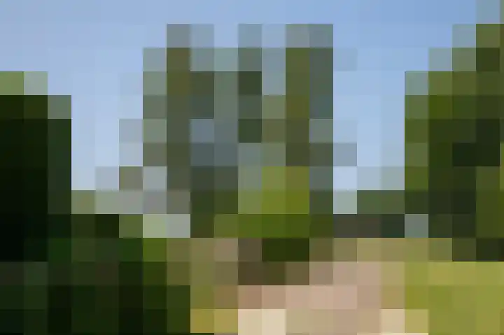 Dilweg 17 Odoorn thumbnail 5