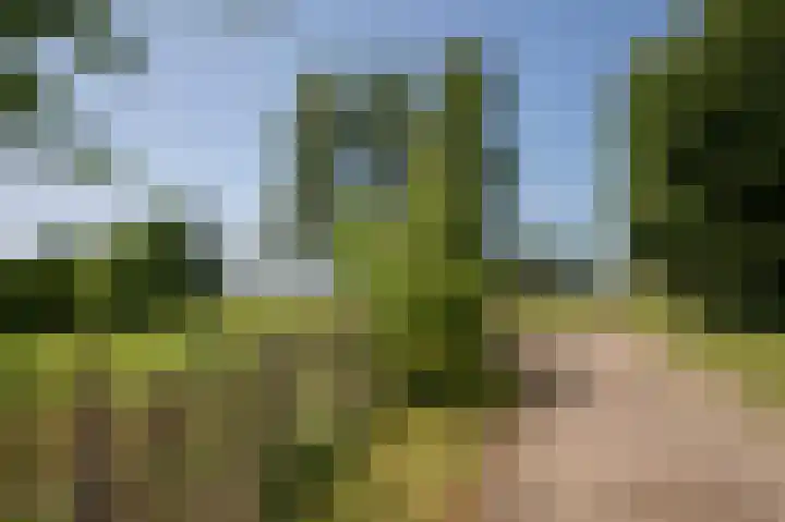 Dilweg 17 Odoorn thumbnail 72