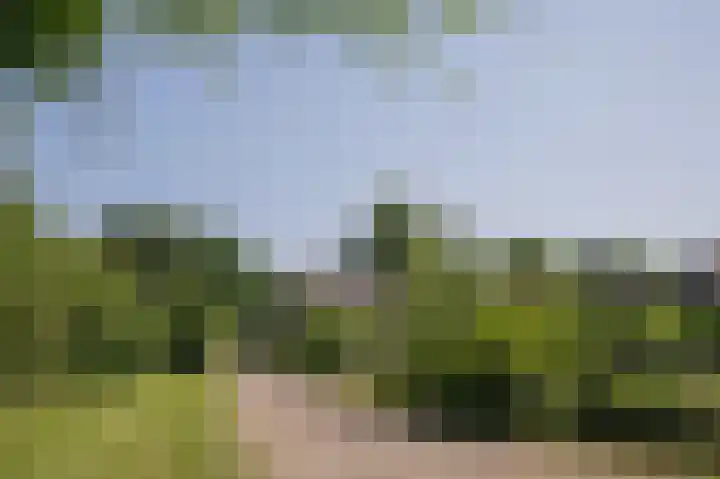 Dilweg 17 Odoorn thumbnail 73