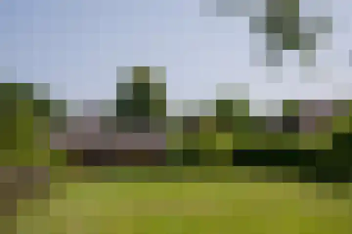 Dilweg 17 Odoorn thumbnail 74