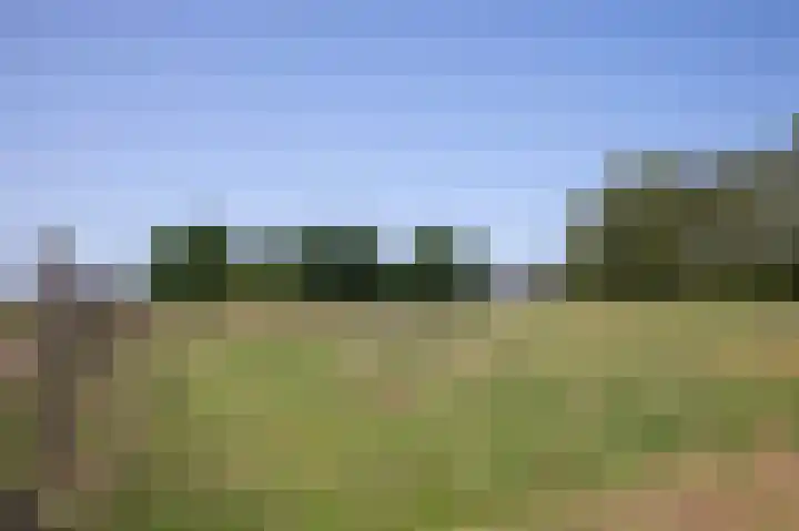 Dilweg 17 Odoorn thumbnail 76