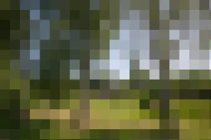Dilweg 17 Odoorn thumbnail 77