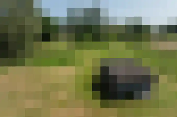 Dilweg 17 Odoorn thumbnail 78