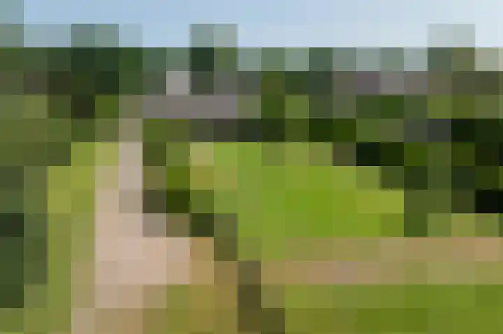 Dilweg 17 Odoorn thumbnail 79