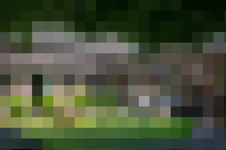 Dilweg 17 Odoorn thumbnail 8