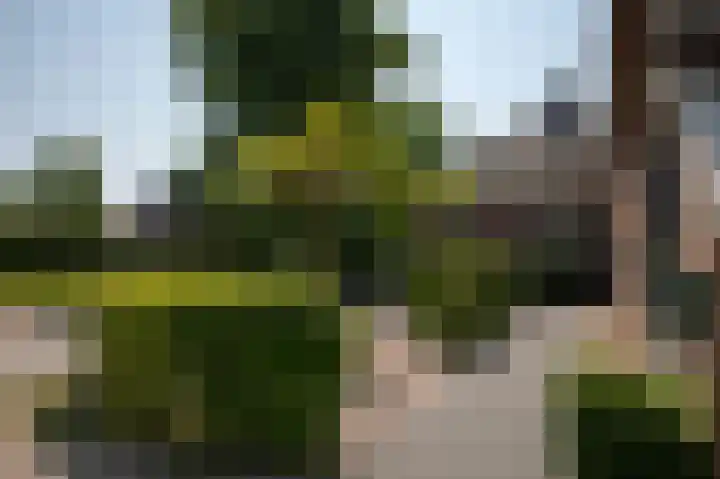 Dilweg 17 Odoorn thumbnail 82