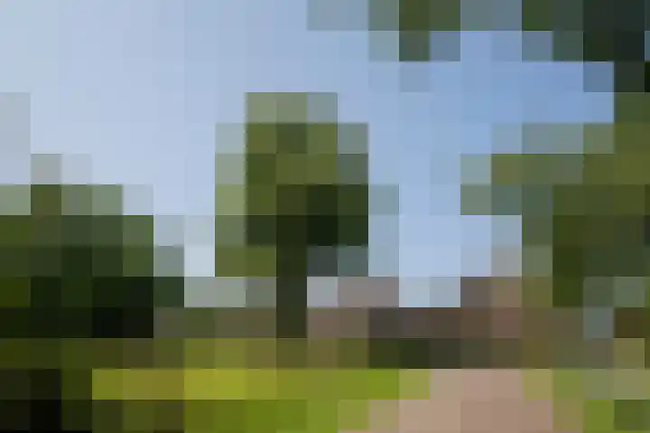 Dilweg 17 Odoorn thumbnail 86