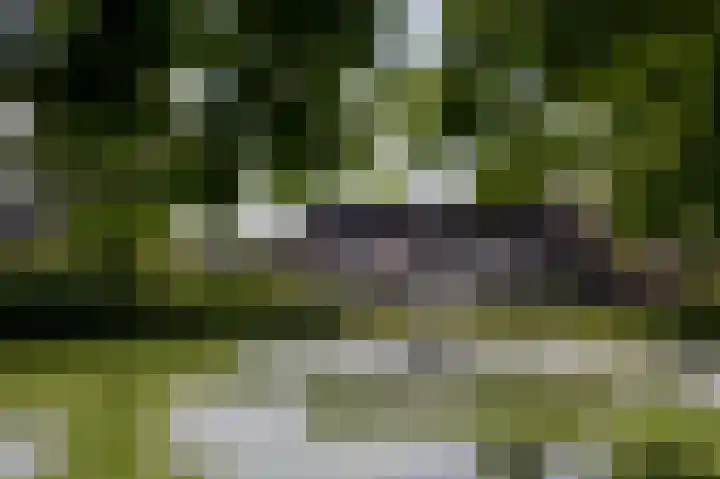 Dilweg 17 Odoorn thumbnail 88