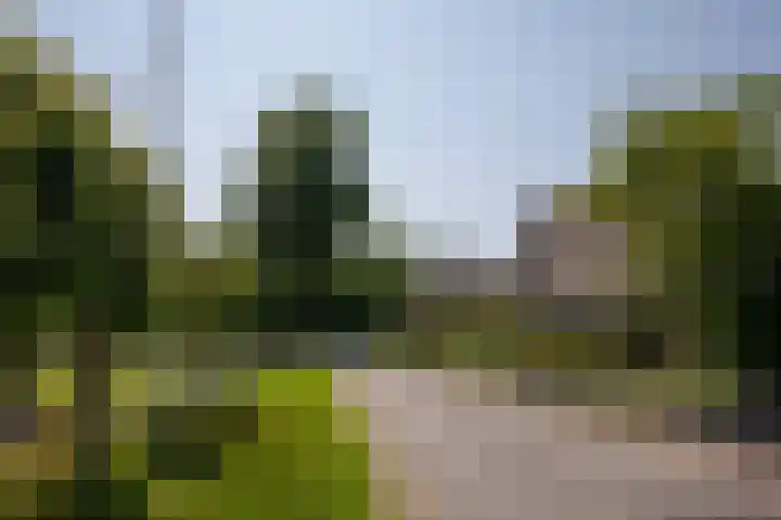 Dilweg 17 Odoorn thumbnail 89