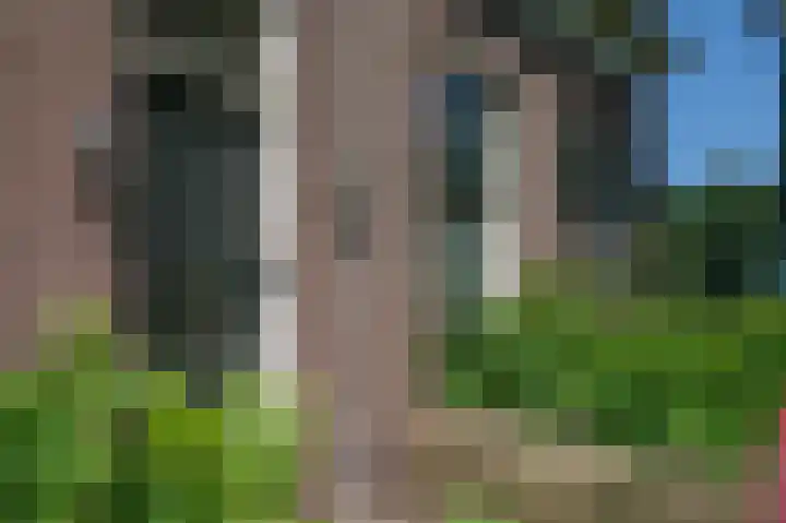 Dilweg 17 Odoorn thumbnail 9