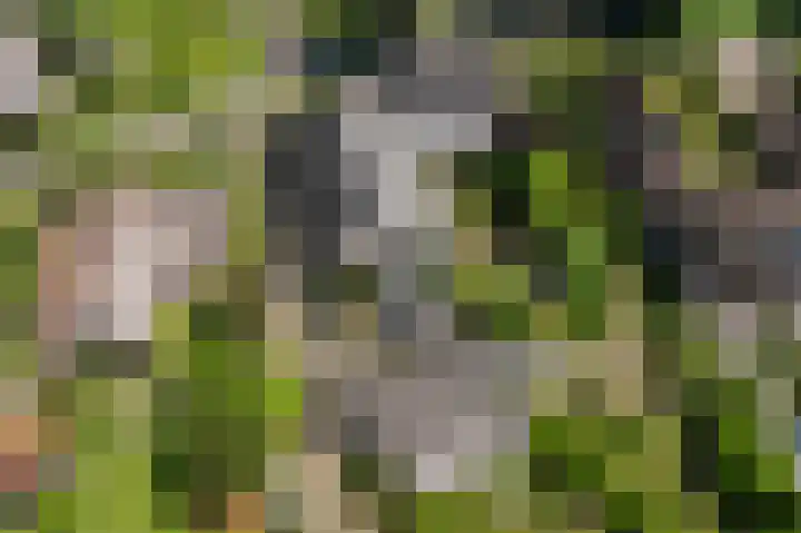 Dilweg 17 Odoorn thumbnail 92