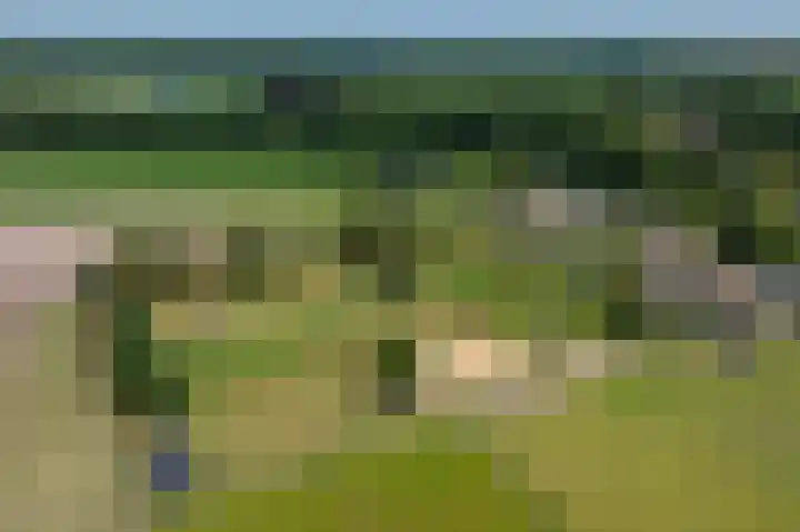 Dilweg 17 Odoorn thumbnail 98