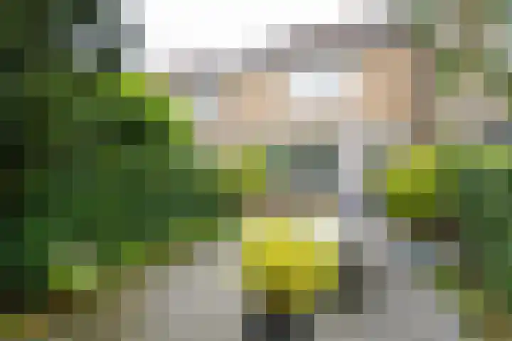 Dimmerlaan 24 Leerdam thumbnail 26