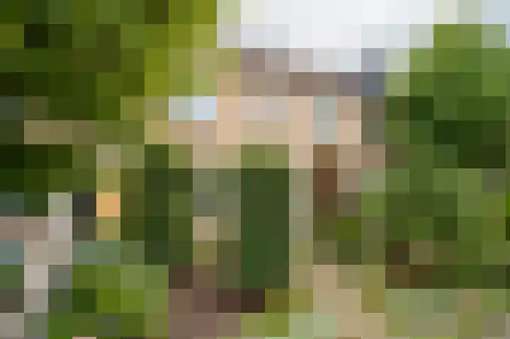 Dimmerlaan 24 Leerdam thumbnail 5