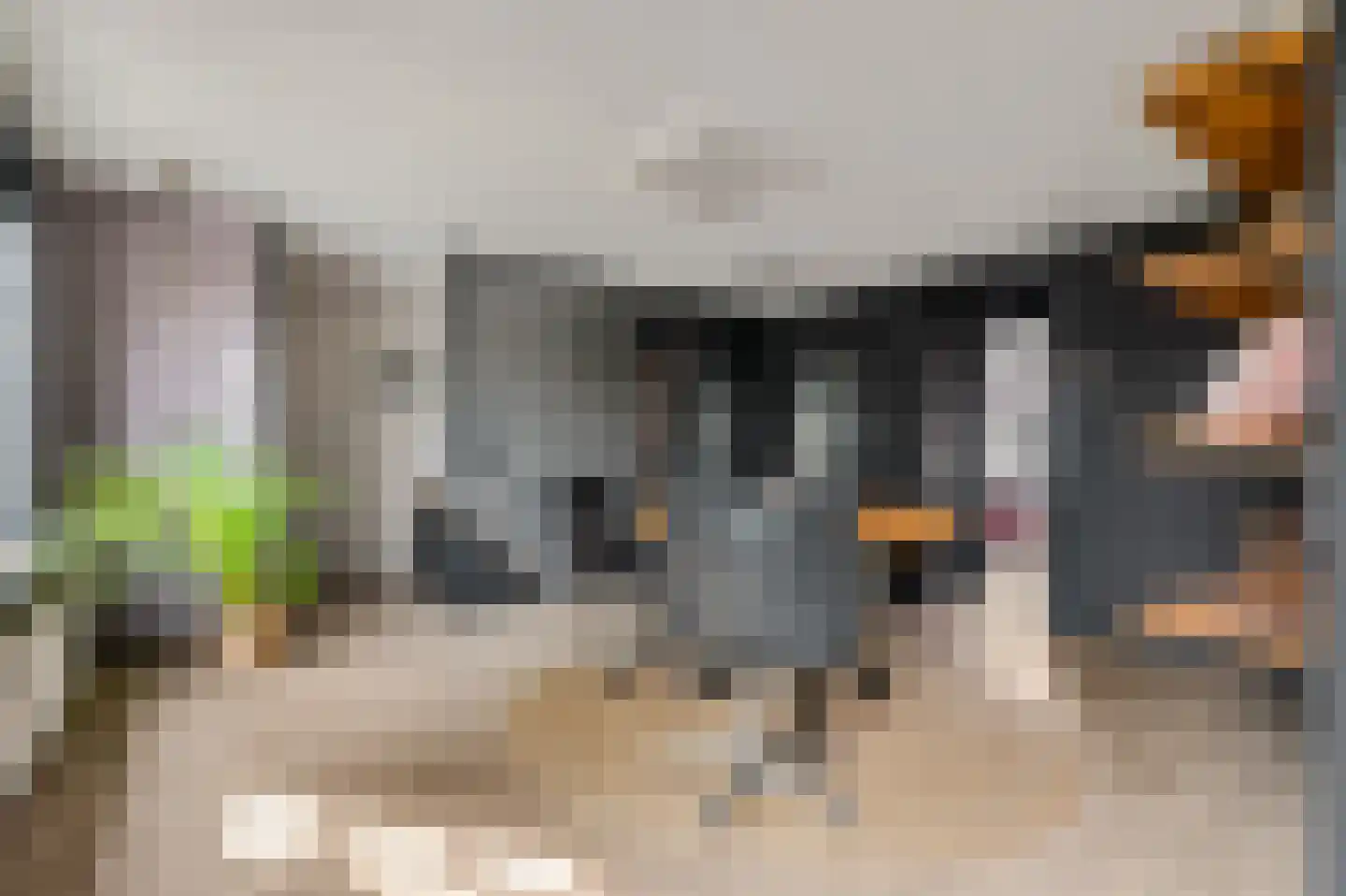 Dimmerlaan 24 Leerdam thumbnail 7