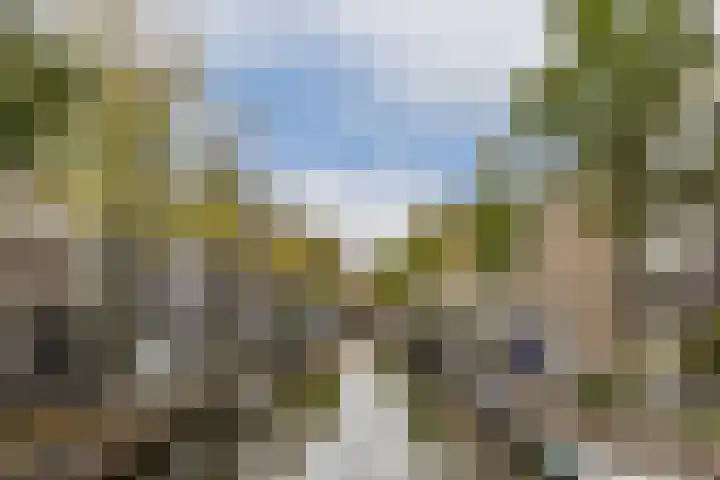 Dimmerlaan 30 Leerdam thumbnail 31