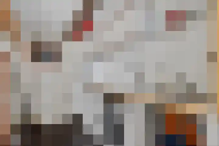Dimmerlaan 30 Leerdam thumbnail 4