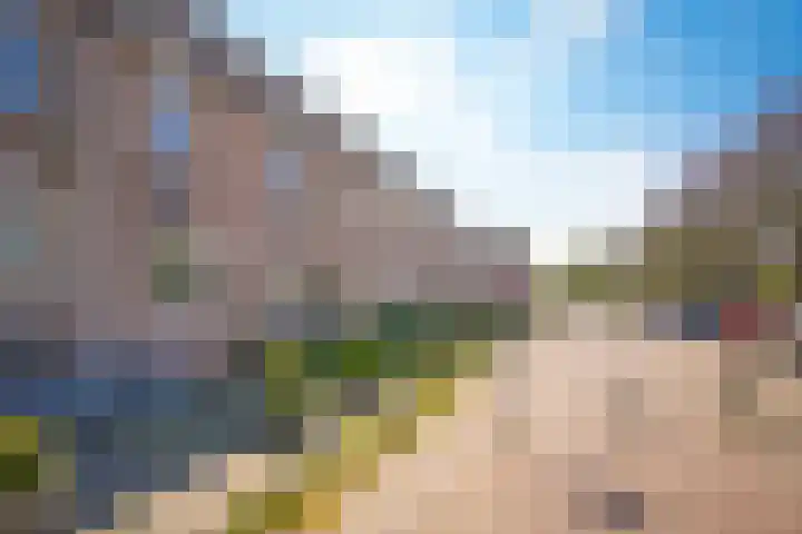 Dina Appeldoornpad 2 Gorinchem thumbnail 32