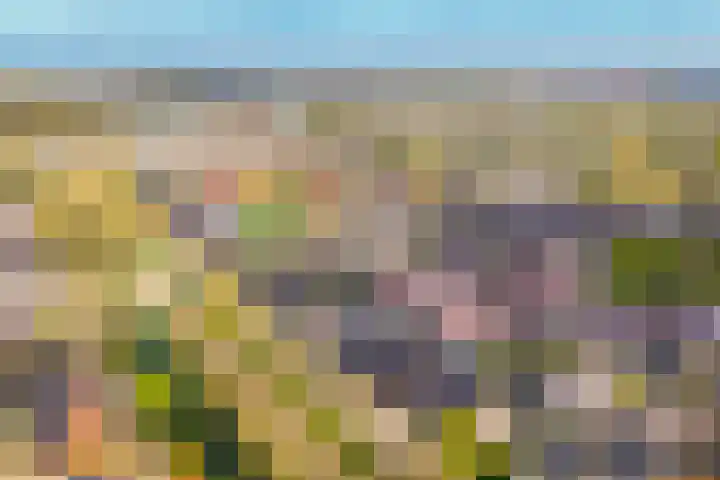 Dina Appeldoornpad 2 Gorinchem thumbnail 35